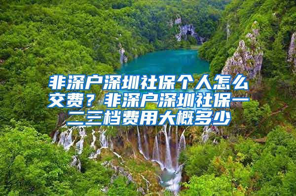 非深户深圳社保个人怎么交费？非深户深圳社保一二三档费用大概多少