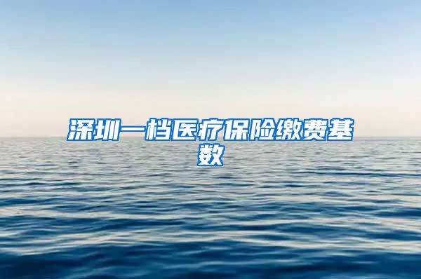 深圳一档医疗保险缴费基数