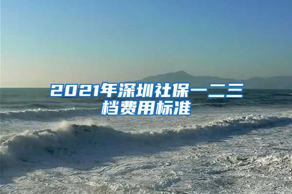 2021年深圳社保一二三档费用标准