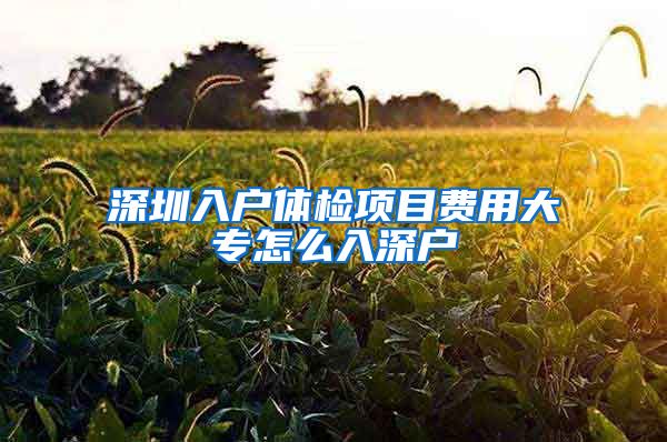 深圳入户体检项目费用大专怎么入深户