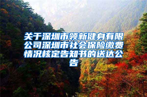关于深圳市领新健身有限公司深圳市社会保险缴费情况核定告知书的送达公告