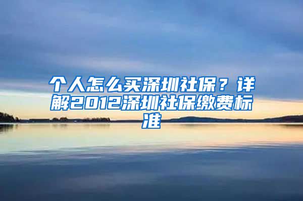 个人怎么买深圳社保？详解2012深圳社保缴费标准