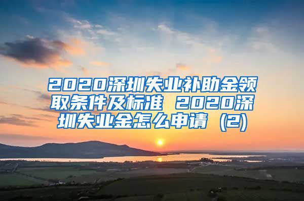 2020深圳失业补助金领取条件及标准 2020深圳失业金怎么申请 (2)