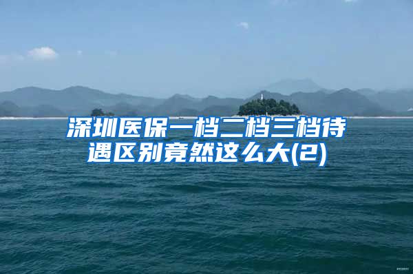 深圳医保一档二档三档待遇区别竟然这么大(2)