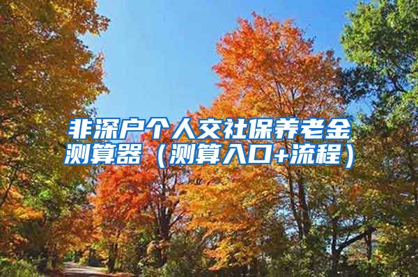 非深户个人交社保养老金测算器（测算入口+流程）