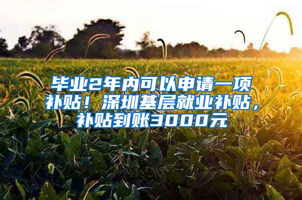 毕业2年内可以申请一项补贴！深圳基层就业补贴，补贴到账3000元