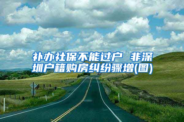 补办社保不能过户 非深圳户籍购房纠纷骤增(图)