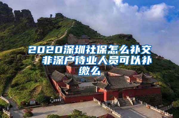 2020深圳社保怎么补交  非深户待业人员可以补缴么