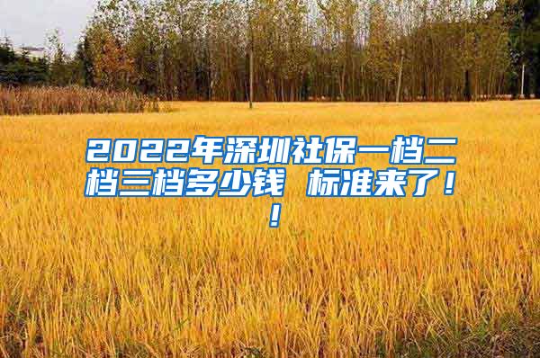 2022年深圳社保一档二档三档多少钱 标准来了！！