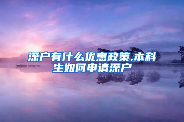 深户有什么优惠政策,本科生如何申请深户