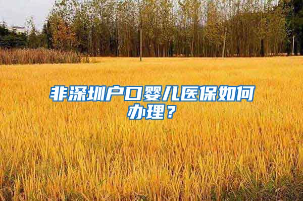 非深圳户口婴儿医保如何办理？