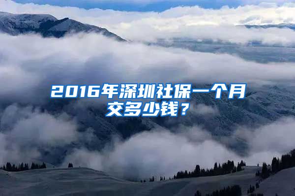 2016年深圳社保一个月交多少钱？