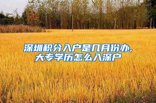 深圳积分入户是几月份办,大专学历怎么入深户