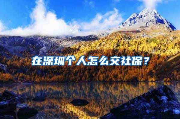 在深圳个人怎么交社保？