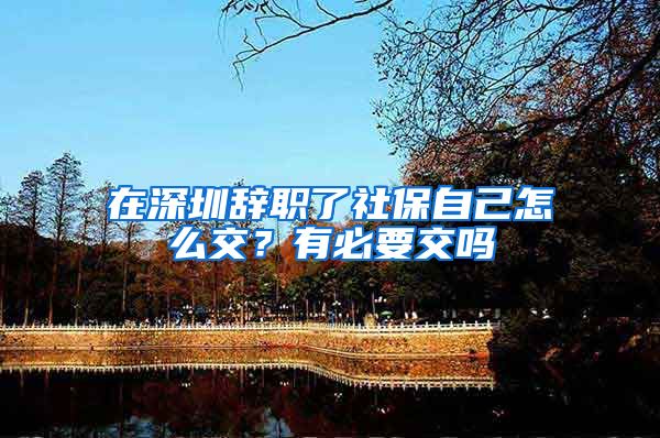 在深圳辞职了社保自己怎么交？有必要交吗