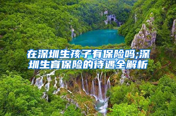 在深圳生孩子有保险吗;深圳生育保险的待遇全解析