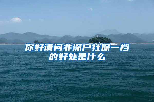 你好请问非深户社保一档的好处是什么