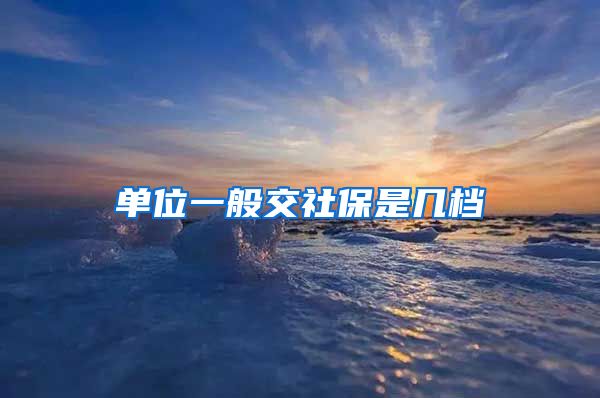 单位一般交社保是几档
