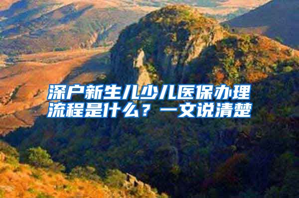 深户新生儿少儿医保办理流程是什么？一文说清楚