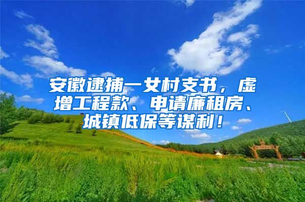 安徽逮捕一女村支书，虚增工程款、申请廉租房、城镇低保等谋利！