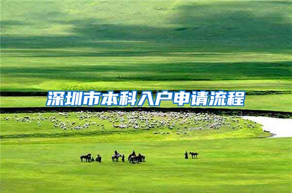 深圳市本科入户申请流程