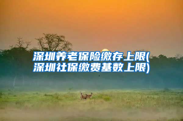 深圳养老保险缴存上限(深圳社保缴费基数上限)