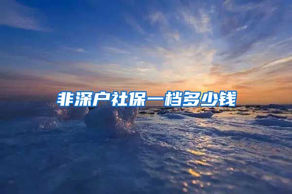 非深户社保一档多少钱