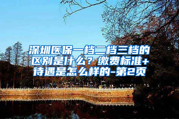 深圳医保一档二档三档的区别是什么？缴费标准+待遇是怎么样的-第2页