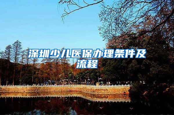 深圳少儿医保办理条件及流程