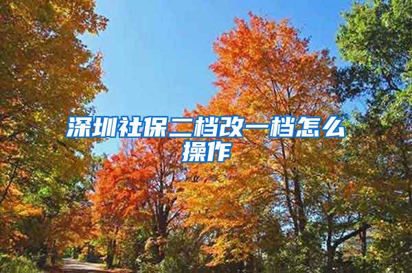深圳社保二档改一档怎么操作