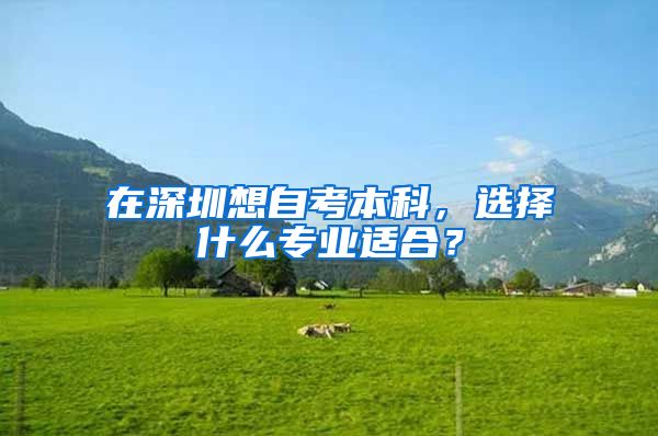 在深圳想自考本科，选择什么专业适合？
