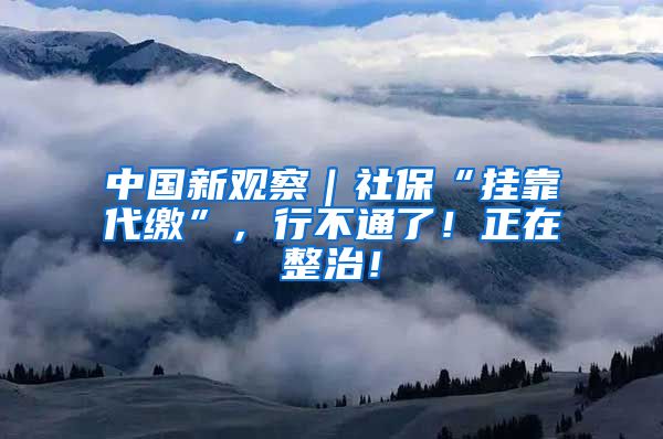 中国新观察｜社保“挂靠代缴”，行不通了！正在整治！