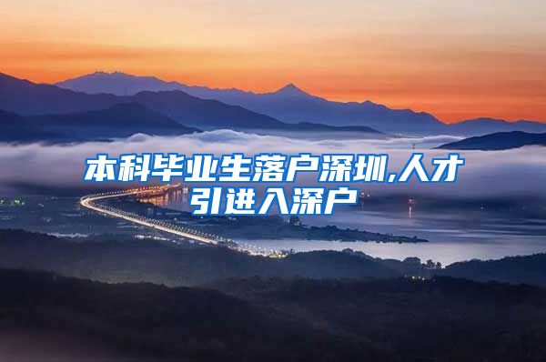 本科毕业生落户深圳,人才引进入深户