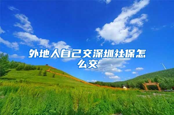 外地人自己交深圳社保怎么交