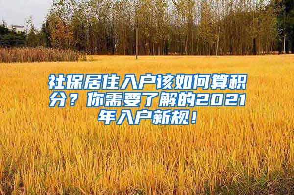 社保居住入户该如何算积分？你需要了解的2021年入户新规！