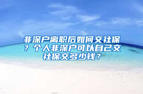 非深户离职后如何交社保？个人非深户可以自己交社保交多少钱？