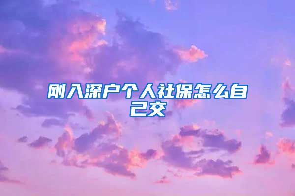 刚入深户个人社保怎么自己交