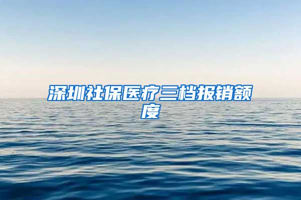 深圳社保医疗三档报销额度