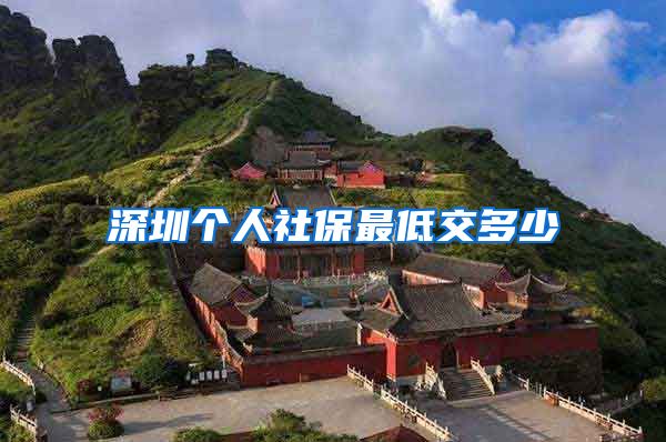 深圳个人社保最低交多少