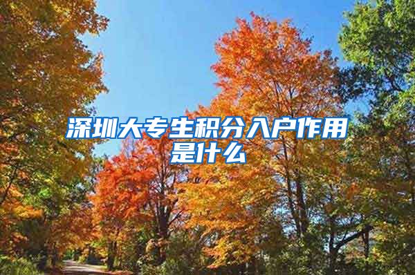深圳大专生积分入户作用是什么