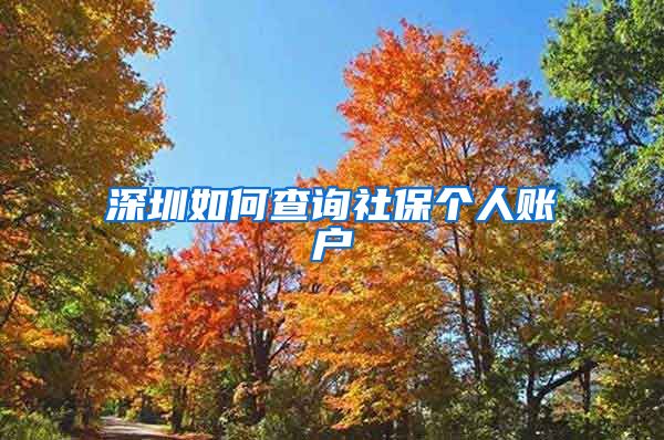 深圳如何查询社保个人账户