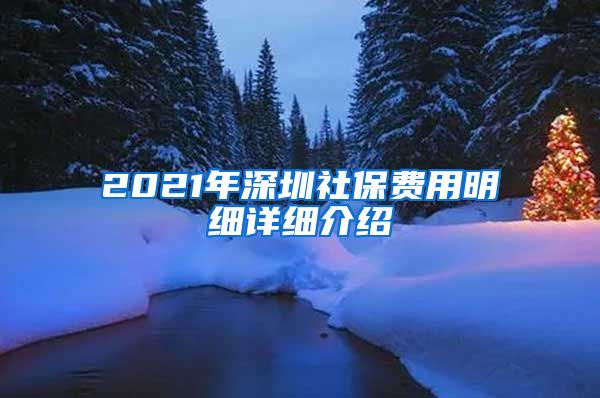 2021年深圳社保费用明细详细介绍