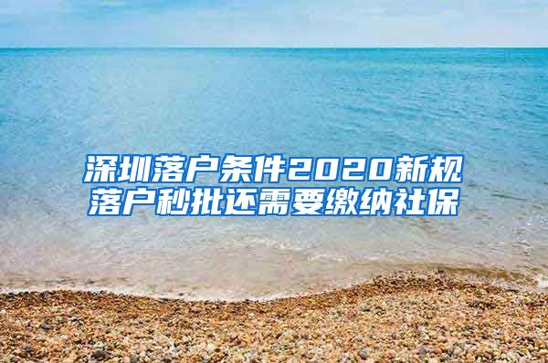深圳落户条件2020新规落户秒批还需要缴纳社保