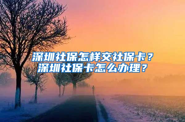 深圳社保怎样交社保卡？深圳社保卡怎么办理？