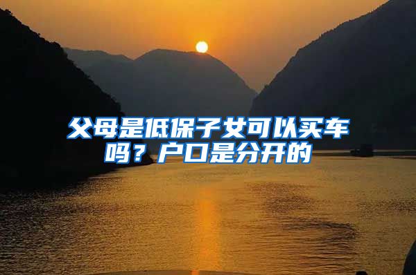 父母是低保子女可以买车吗？户口是分开的