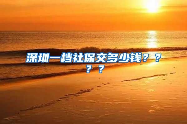 深圳一档社保交多少钱？？？？