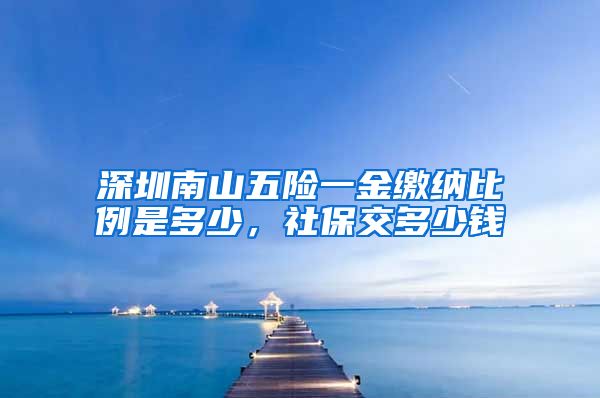 深圳南山五险一金缴纳比例是多少，社保交多少钱