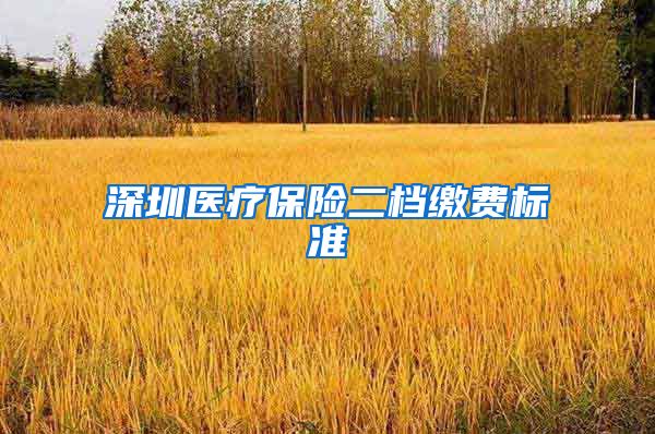 深圳医疗保险二档缴费标准