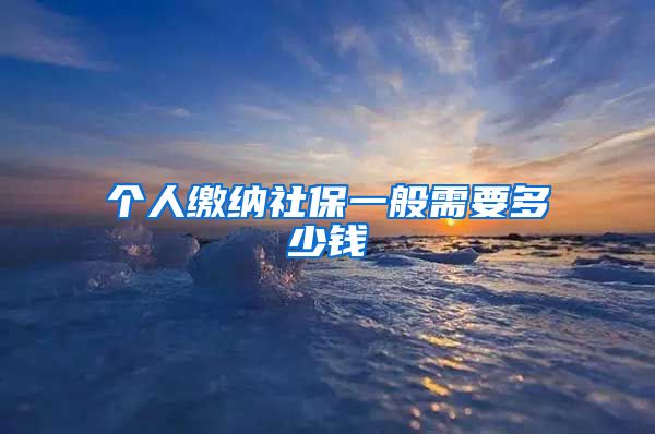 个人缴纳社保一般需要多少钱