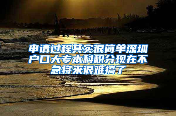 申请过程其实很简单深圳户口大专本科积分现在不急将来很难搞了